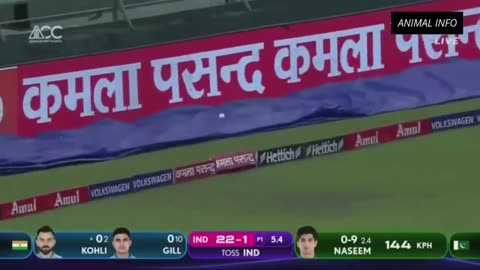 Pak vs Indi Highlights