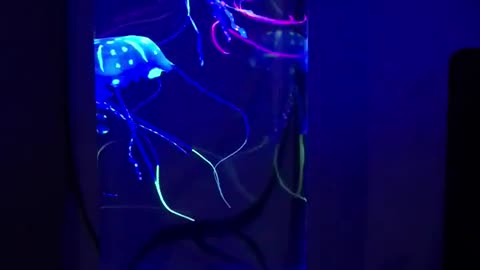 color_changing_jellyfish_lamp_usbbattery_powered_t