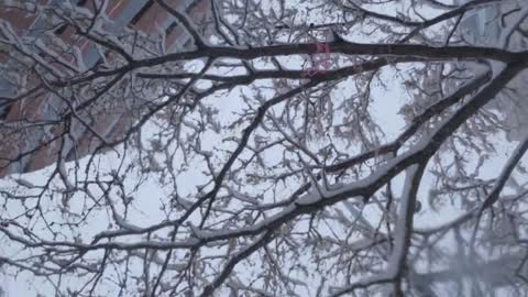 Walking in Downtown Denver during a Blizzard