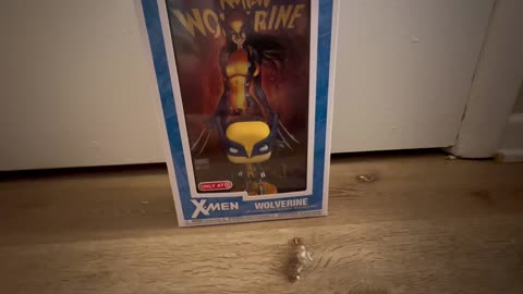 FUNKO REVIEW Wolverine FEMALE FIGURE REVIEW