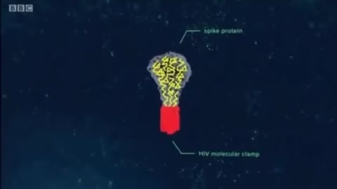 Origin of V-AIDS Clip