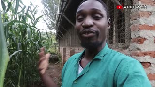 How A 30Yrs Old Retired Medical Doctor Became The Biggest Poultry Farmer In Uganda!