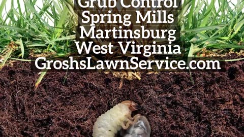 Grubs Spring Mills Martinsburg West Virginia Lawn Care Service