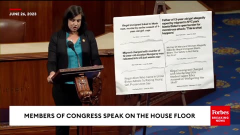 Malliotakis Calls Out 'Champions Of Women' Dems Over US Women Allegedly Killed By Illegal Immigrants