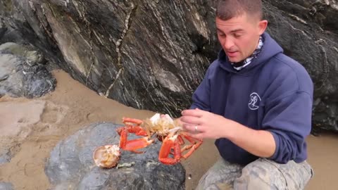 Underwater Foraging for Spider Crabs & Giant Lobster | Campfire Catch & Cook on the Beach