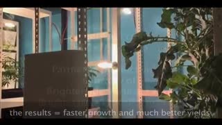 LightRail Light Movers & Vertical Grow Racks