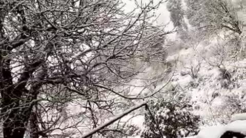 Heavy Snowfall... Nainital, mukteshwer.