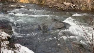 Look at how CLEAR this Mountain Glacier Runoff is – Whychus Creek – Central Oregon