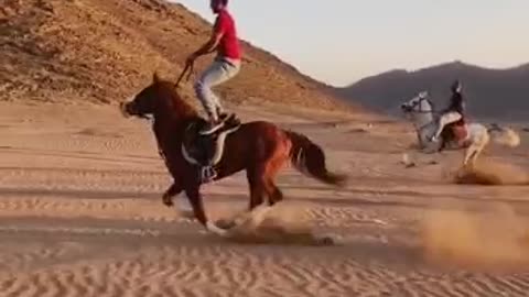 Arab Horse Riding