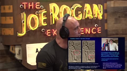 Joe Rogan Hieroglyphs of Magic Mushrooms from Ancient Egypt