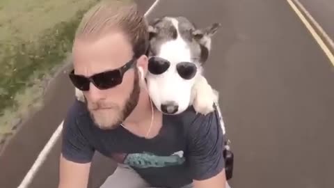 RIDING A BIKE WITH BEST FRIEND | DOG/HUSKY VERSION