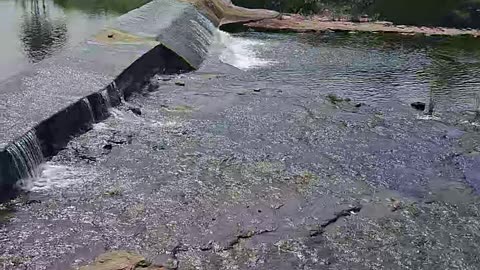 India is river morning seen