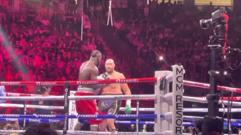 Doentay Wilder vs Tyson fury fight highlights