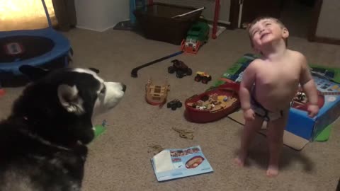 Toddler laughs as he and husky howl together.