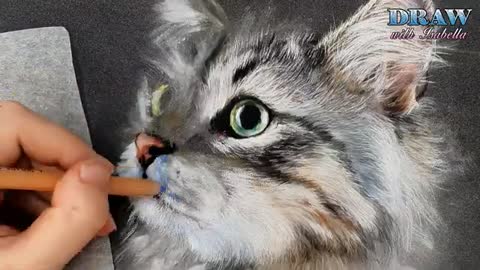 How to Draw a Siberian Cat - Time-lapse drawing