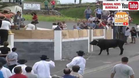 Dangerous Bull Fight Accidents Compilation | Lucky and Funny People Fail Video Clips