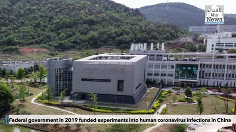 Federal government in 2019 funded experiments into human coronavirus infections in China