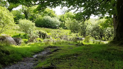 Rode wireless Go . Distance test at a riverside wildcamp