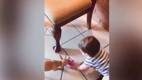 Dogs are the best friend of Babies 60