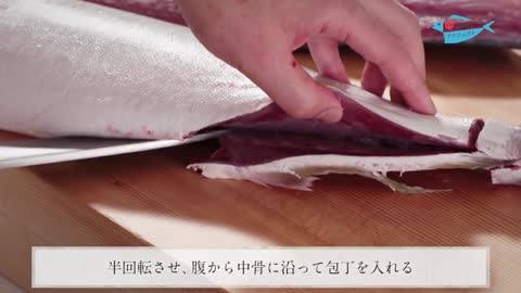 How to fillet fish Amberjack