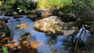 Dartmoor. River sounds