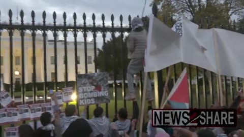 Pro-Palestine demonstrators wave flags through, protest at White House fence