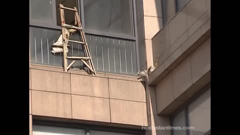 Cat makes dramatic jump from second floor, lands on feet