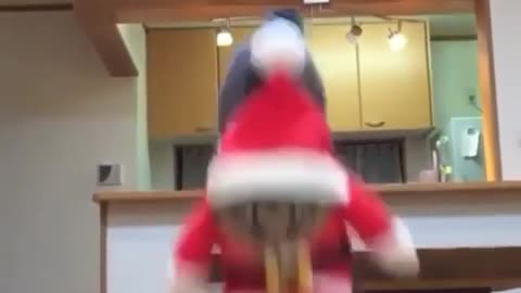 Cat in Santa's costume