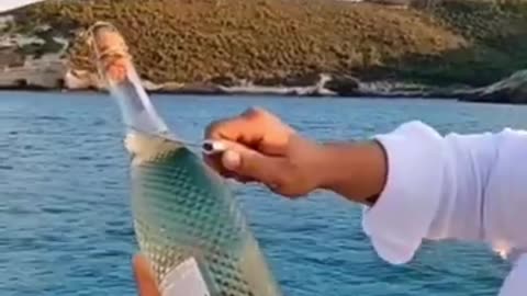 "Viral Funny Fails Compilation: Man vs. Bottle, Game Slips, and Teenage Fishing by Signal!"