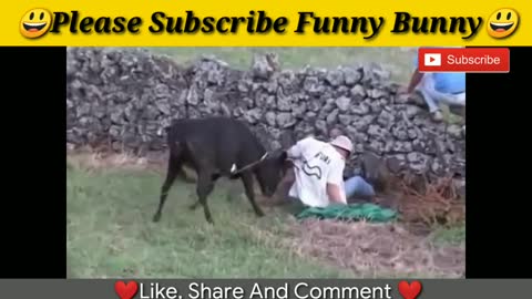 Best funny videos 2020 Most awesome bullfighting crazy festival bull fails