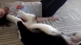Dog working out with girl