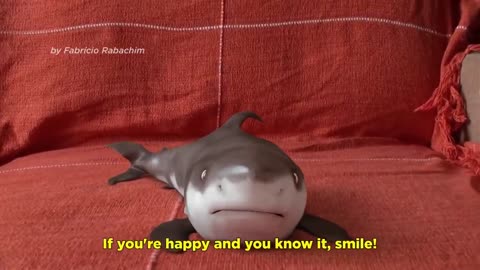 Happy Shark Funny Shark