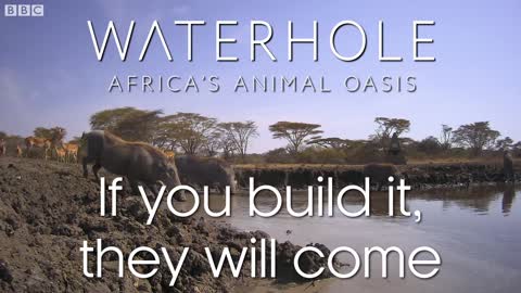 Building The Waterhole (Behind The Scenes) | Waterhole: Africa's Animal Oasis | BBC Earth