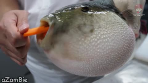 Pufferfish kinda SUS with a carrot