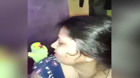 Funny Parrots Video/Taking and Kissing with Lady/ Best Cute Parrot ever #.