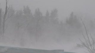 Blizzard 2022 Newfoundland, Canada..126km Wind Gusts