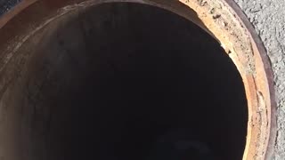 Man Curiously Climbs Down into Sewer