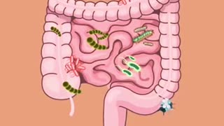 The Gut Unlocking the Key to Your Health Healing
