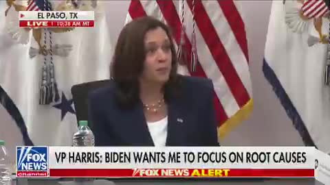 Kamala Harris Blames Trump For "Inherited" Border Crisis