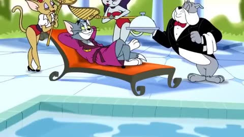 Tom and Jerry cartoon network shows - Best episodes
