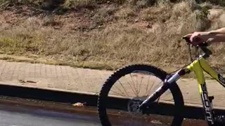 Blue shirt guy wheelie bike helmet falls on street