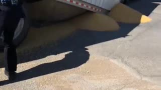 Semi Buckled and Dumped Grain Everywhere