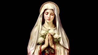 Immaculate Conception of BV Mary 12/8/23 "Compared With Light, She is Found Brighter" [Audio] (NH)