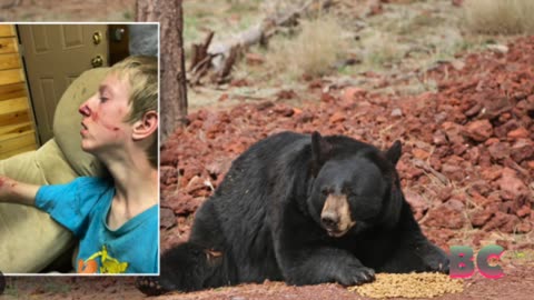 Bear mauls teen with rare disorder as he watched TV in Arizona cabin