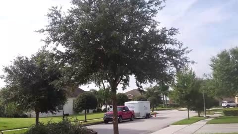 Greenlee Tree services - (863) 250-8820