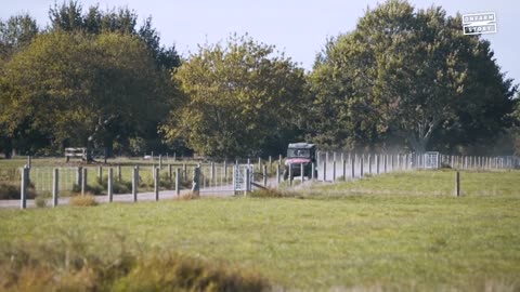 Sheep Milking in Matangi – What It’s Like To Milk Sheep _ On Farm Story