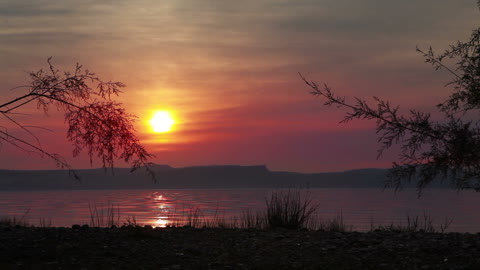 sunset-at-sea-of-galilee-with-tree