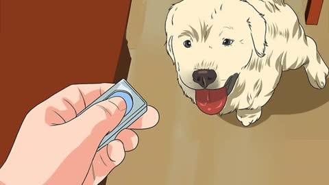 Train Your Dog from Running out of Your House