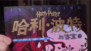 Harry and Ron Crash Flying Car into Whomping Willow at Hogwarts IN CHINESE! #harrypotter #books