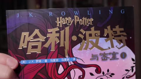 Harry and Ron Crash Flying Car into Whomping Willow at Hogwarts IN CHINESE! #harrypotter #books